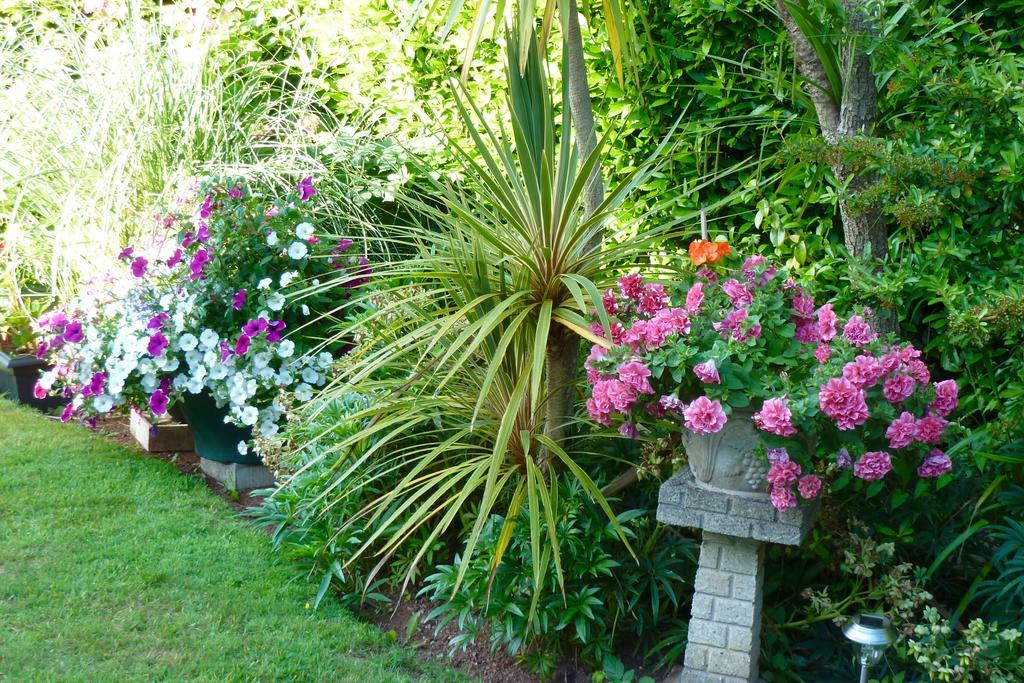 Cloudlands Guest House Torquay Exterior foto